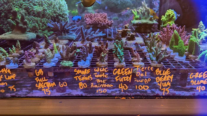 Reefco Aquariums - Showroom and Service Picture 6