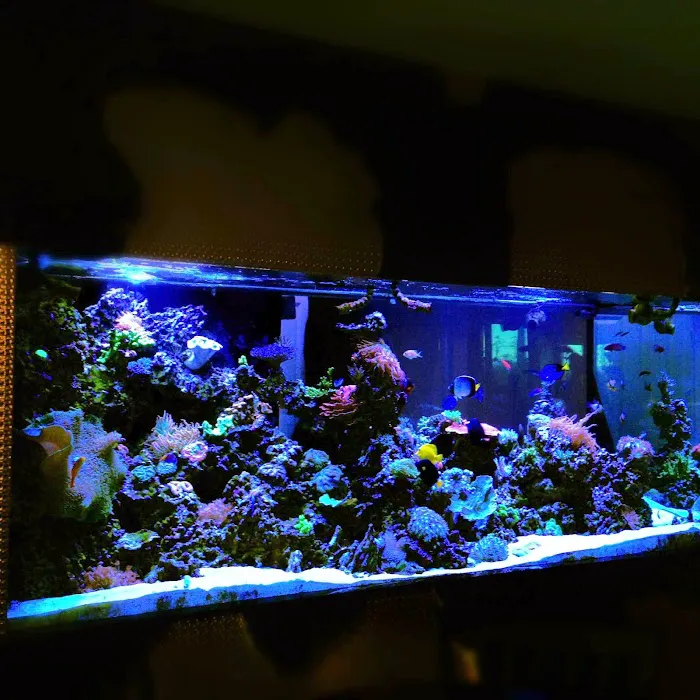 Reefco Aquariums - Showroom and Service Picture 4