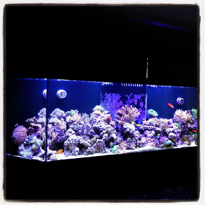 Reefco Aquariums - Showroom and Service Picture 8