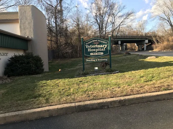 Brandywine Hundred Veterinary Hospital Picture 4