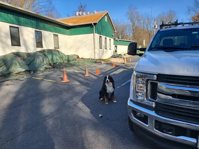 Brandywine Hundred Veterinary Hospital Picture 8