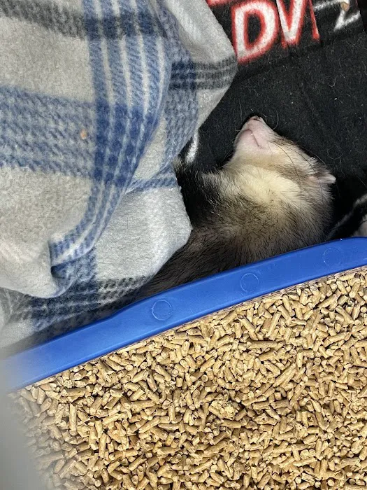 Katie's Pet Depot Picture 4