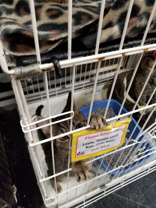 Katie's Pet Depot Picture 10
