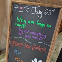 Wilmington Animal Hospital ico