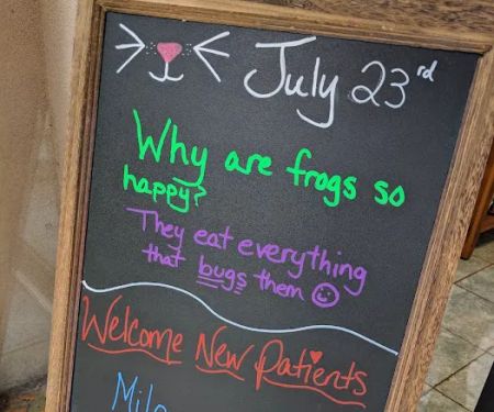 Wilmington Animal Hospital