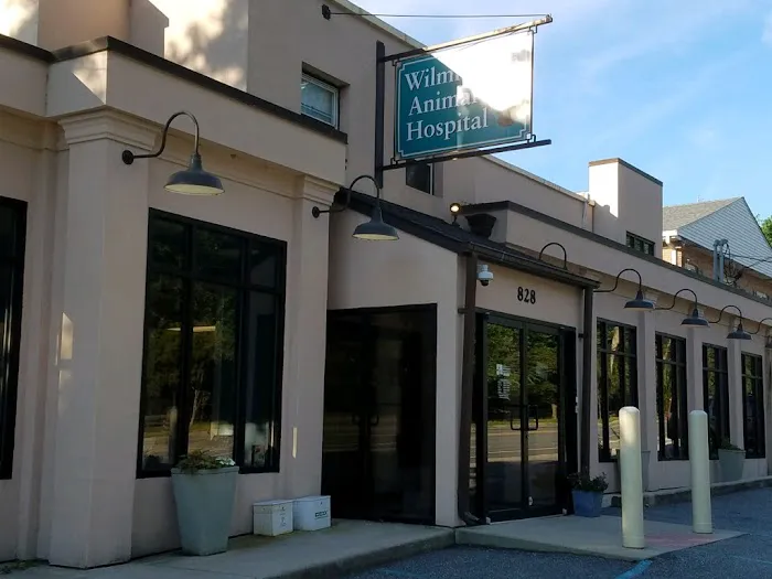 Wilmington Animal Hospital Picture 3