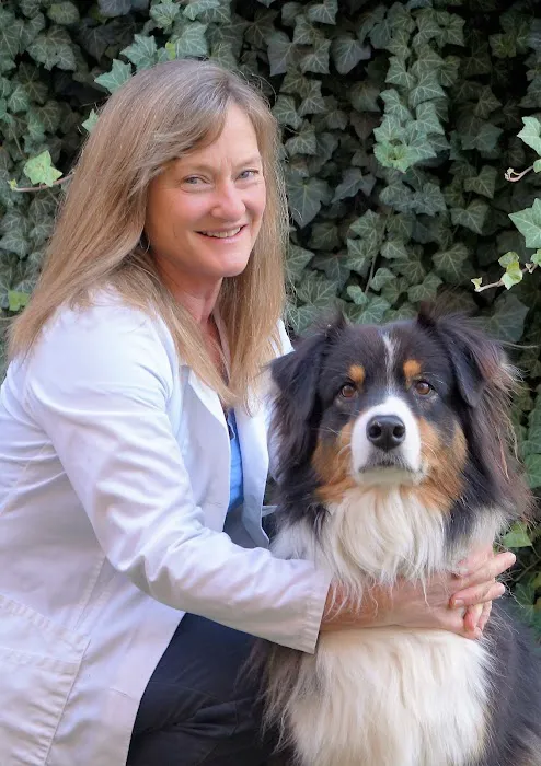 Wilmington Animal Hospital Picture 2