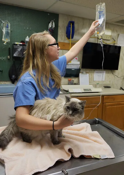 Wilmington Animal Hospital Picture 5