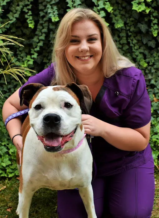 Wilmington Animal Hospital Picture 4