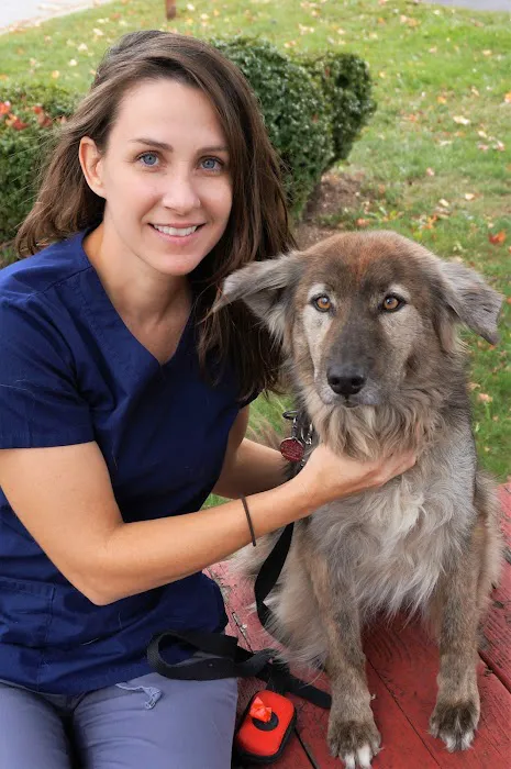 Wilmington Animal Hospital Picture 10