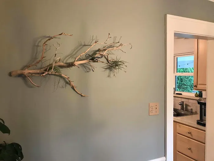 Mr Aquarium & Driftwood Picture 3