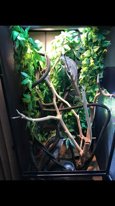 Mr Aquarium & Driftwood Picture 5