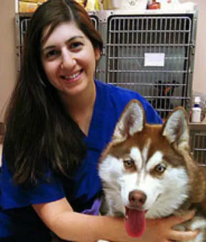 St. George Hunt Memorial Veterinary Hospital Picture 7