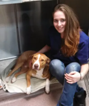 St. George Hunt Memorial Veterinary Hospital Picture 9