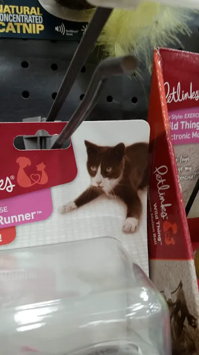 Petco Picture 4