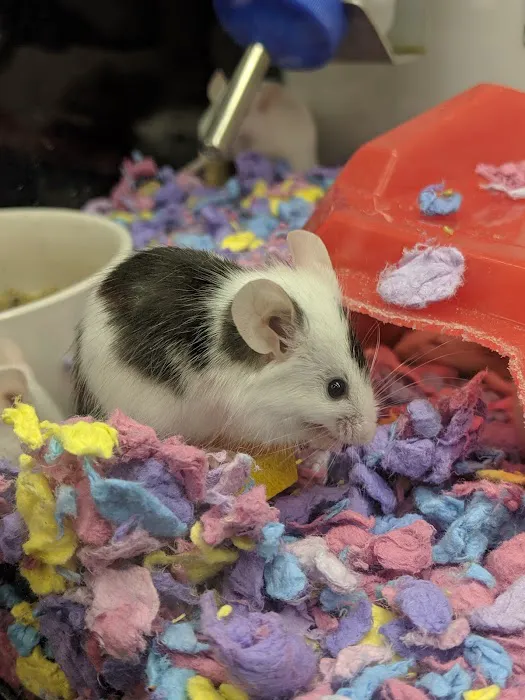 Petco Picture 9