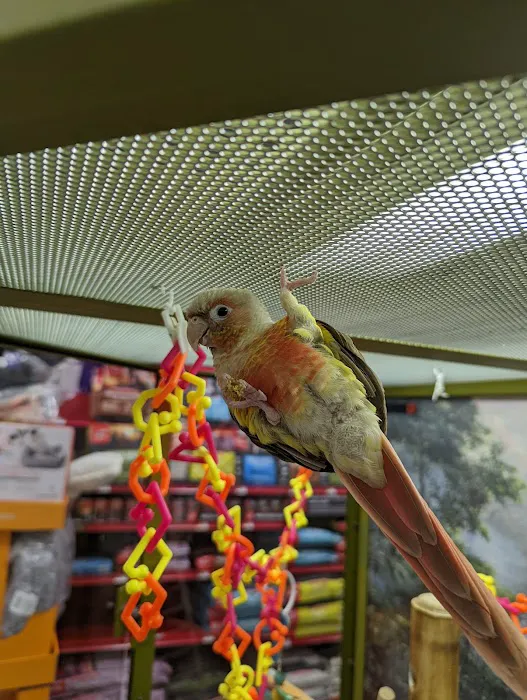 Petco Picture 5