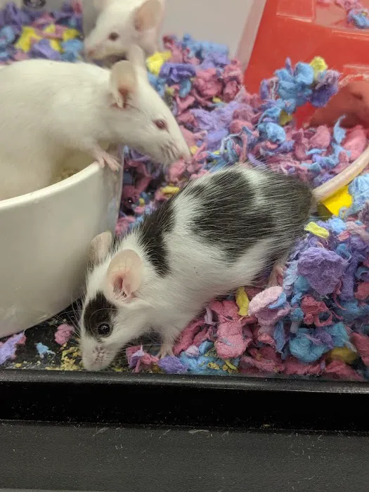 Petco Picture 10