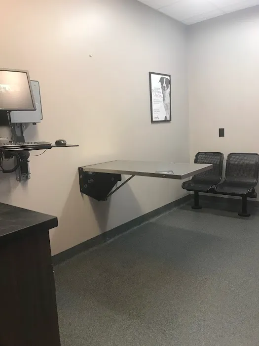 Radnor Veterinary Hospital Picture 3