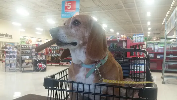 Petco Picture 3
