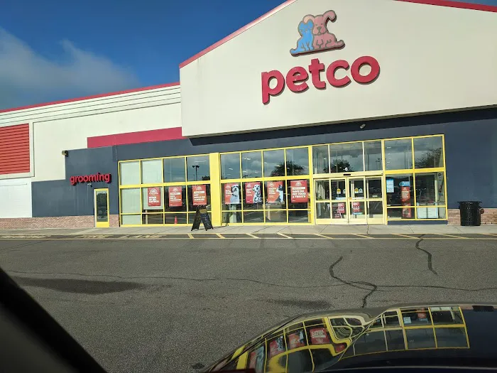 Petco Picture 2