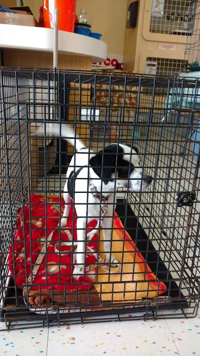 Petco Picture 4