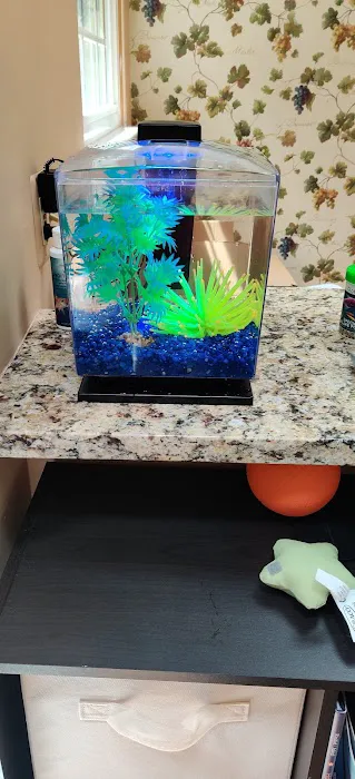 Petco Picture 9