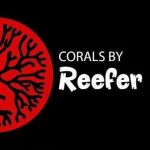 Corals by Reefer Ryan