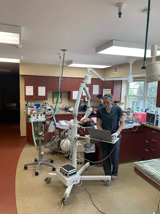 Main Line Veterinary Specialists Picture 6