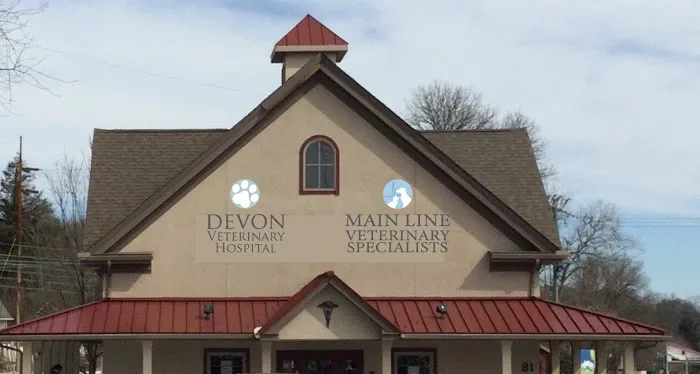 Main Line Veterinary Specialists Picture 7