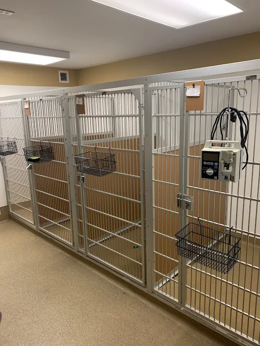 Main Line Veterinary Specialists Picture 10
