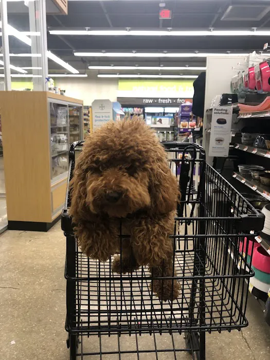 Petco Picture 3