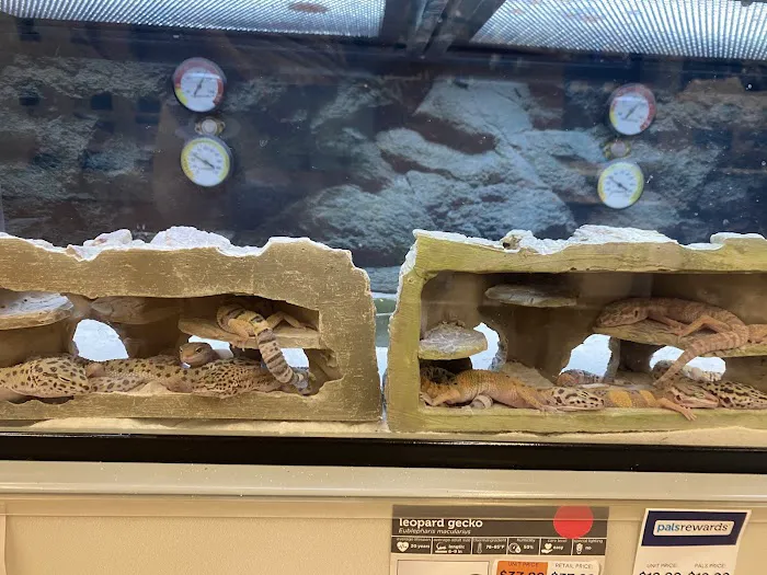 Petco Picture 4
