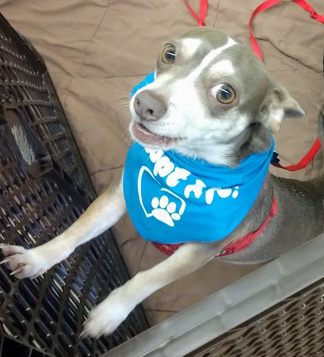 Petco Picture 10