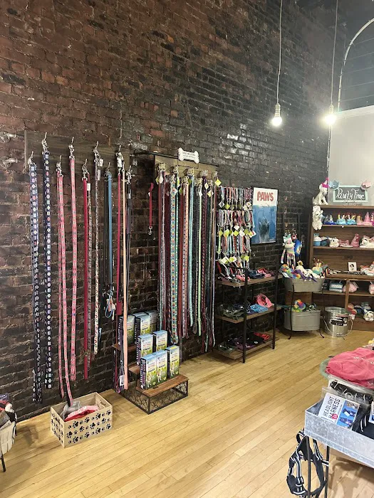 Paws Barkery and Boutique Picture 3