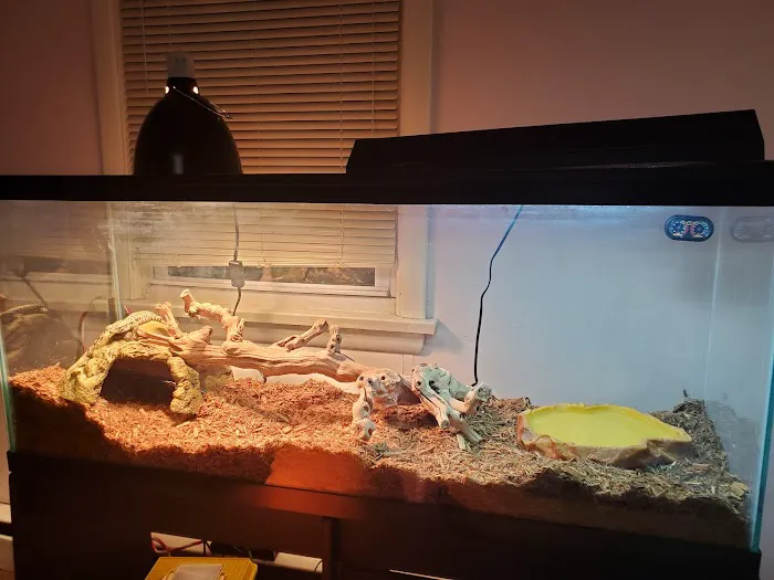 Major League Exotic Pets Picture 1