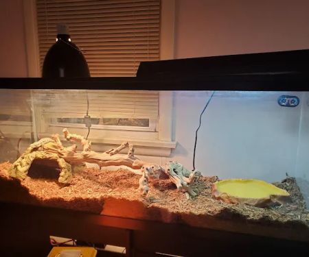 Major League Exotic Pets