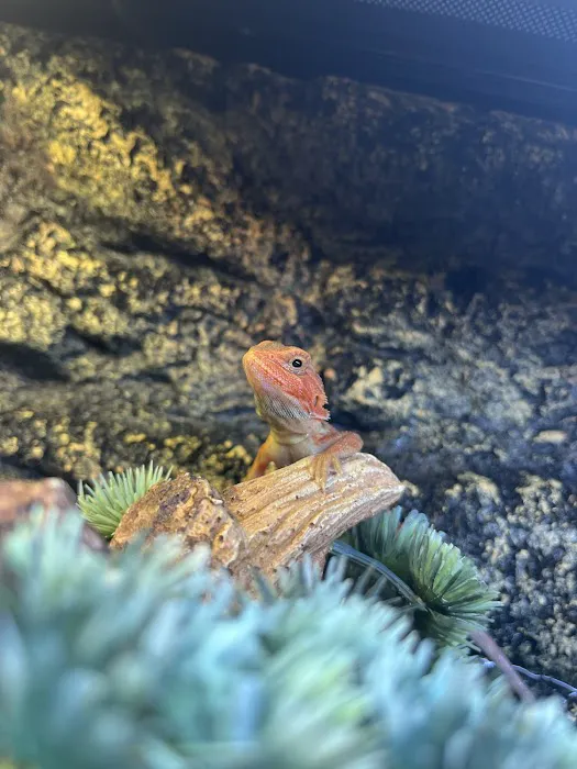 Major League Exotic Pets Picture 6