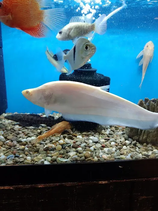 Major League Exotic Pets Picture 9