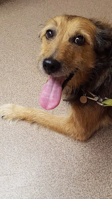 Rocky Hill Veterinary Clinic Picture 3