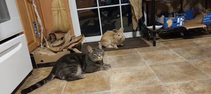 Rocky Hill Veterinary Clinic Picture 2