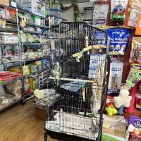 Mike Pet Center LLC ico