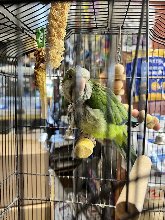 Mike Pet Center LLC Picture 2