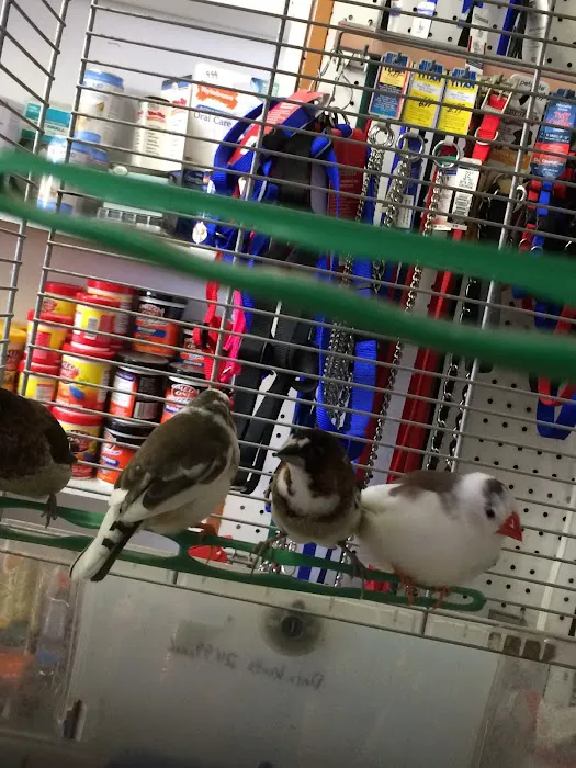 Mike Pet Center LLC Picture 4