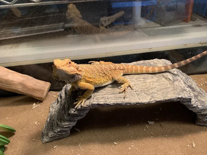 Mike Pet Center LLC Picture 6