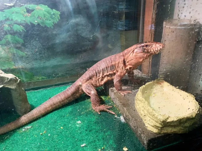 Mike Pet Center LLC Picture 5