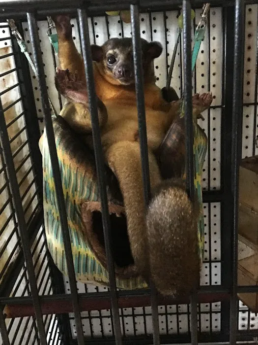 Mike Pet Center LLC Picture 9