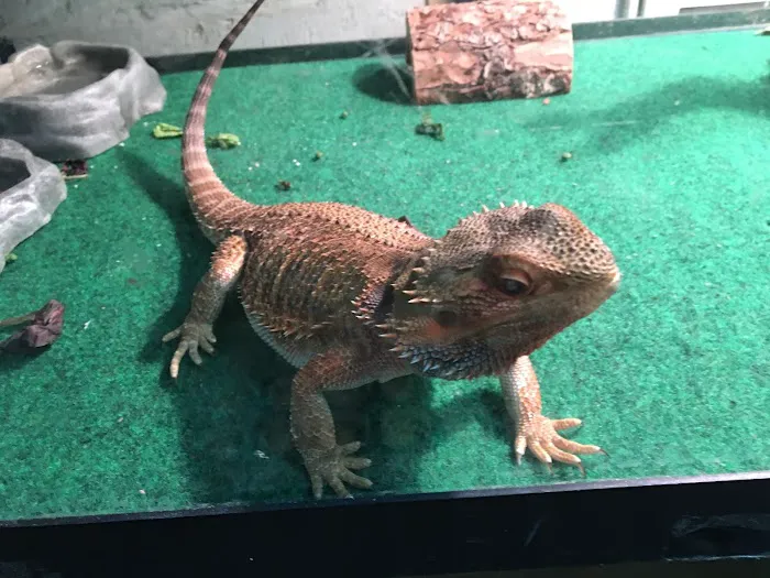 Mike Pet Center LLC Picture 7