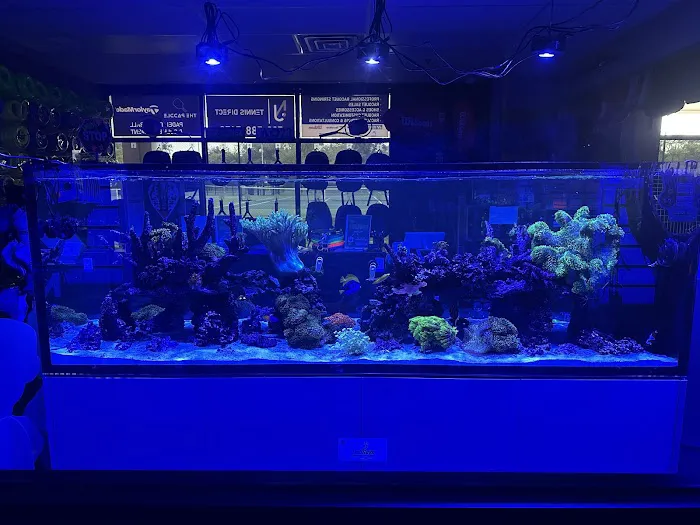 Fish Guys LLC. A division of Natures Kingdom, LLC. Picture 1