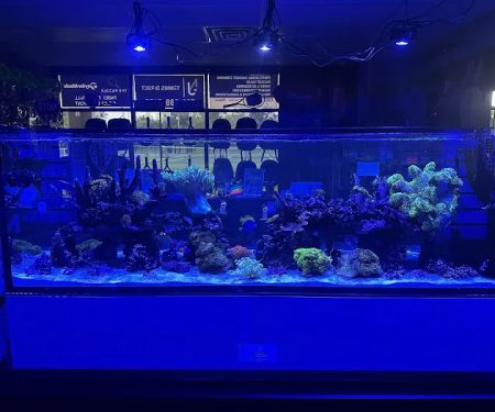 Fish Guys LLC. A division of Natures Kingdom, LLC.